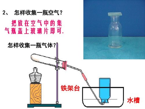 探究人體吸入與呼出氣體的成分差異及其生理意義